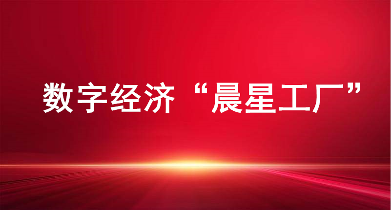 裕航合金、長(zhǎng)壽花食品入選山東省首批數(shù)字經(jīng)濟(jì)“晨星工廠”